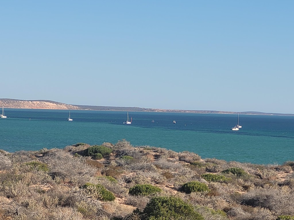 Monkey Mia Boat Hire Shark Bay | 60 Monkey Mia Rd, Denham WA 6537, Australia | Phone: 0487 421 690