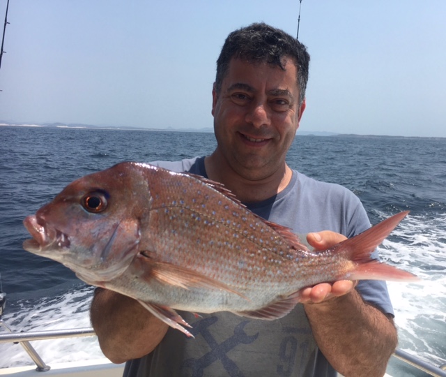 Hammerhead Fishing Charters |  | 6 Teramby Rd, Nelson Bay NSW 2315, Australia | 0498479420 OR +61 498 479 420