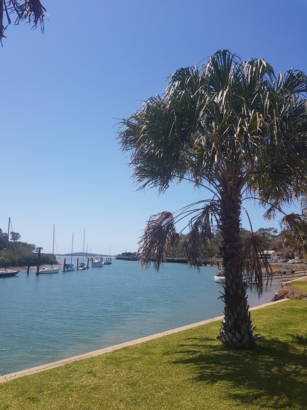 East Shores | park | Flinders Parade, Gladstone Central QLD 4680, Australia | 1800243472 OR +61 1800 243 472