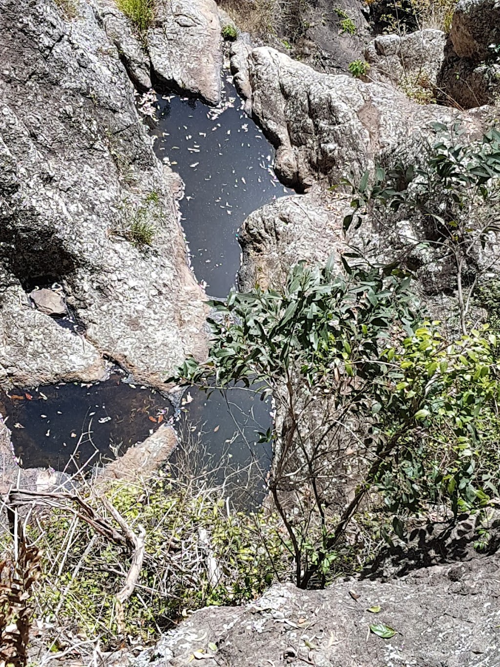 Daguilar National Park | Mount Glorious QLD 4520, Australia