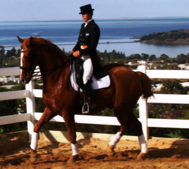 Horseproblems Australia |  | 105 Ferrier Dr, Waitpinga SA 5211, Australia | 0418814029 OR +61 418 814 029