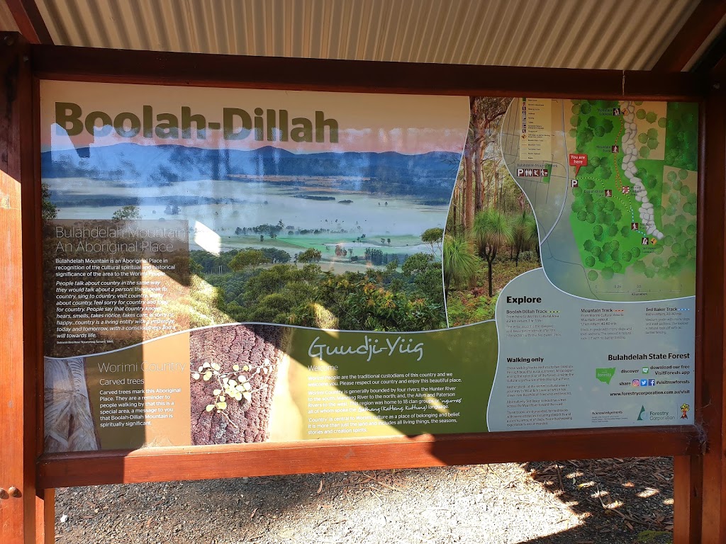 Boolah-Dillah Track | Pacific Hwy, Bulahdelah NSW 2423, Australia
