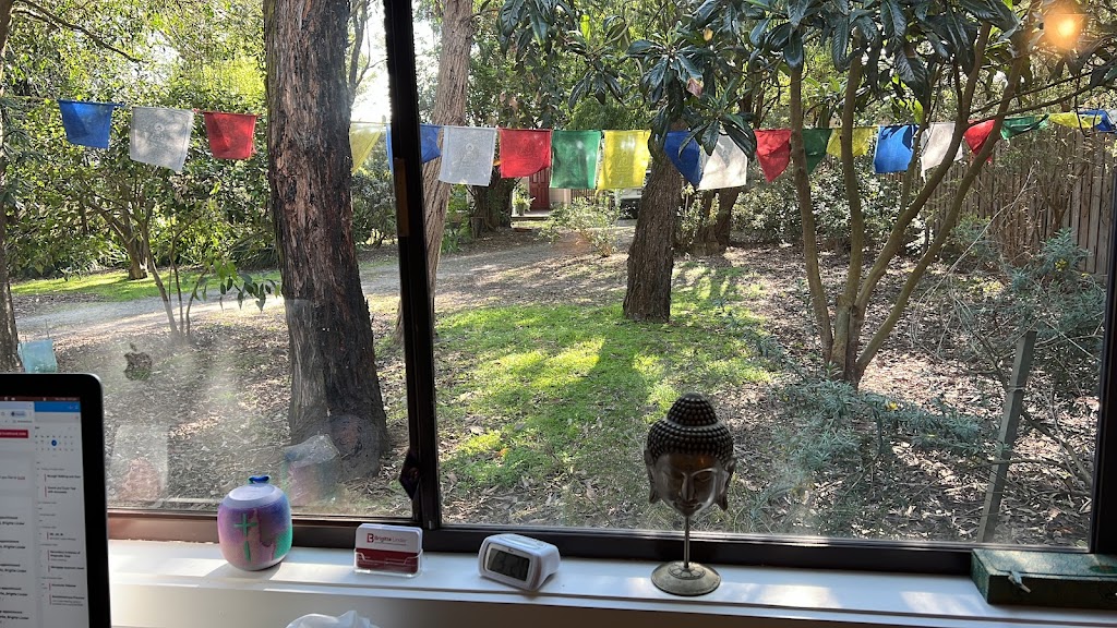 Brigitte Linder Acupuncture & Classical Chinese Medicine | 29 Bayview Ave, Tenby Point VIC 3984, Australia | Phone: 0421 812 691