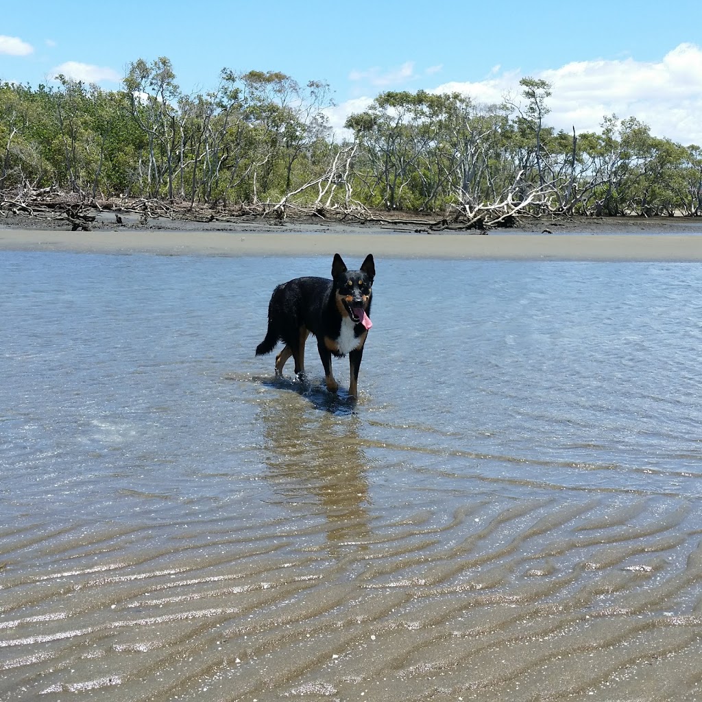 Nudgee Beach Dog park | park | Nudgee Rd, Nudgee Beach QLD 4014, Australia | 0734038888 OR +61 7 3403 8888