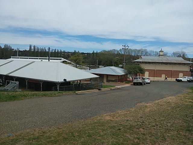 Moruya Showground | tourist attraction | Albert St, Moruya NSW 2537, Australia | 0244743980 OR +61 2 4474 3980