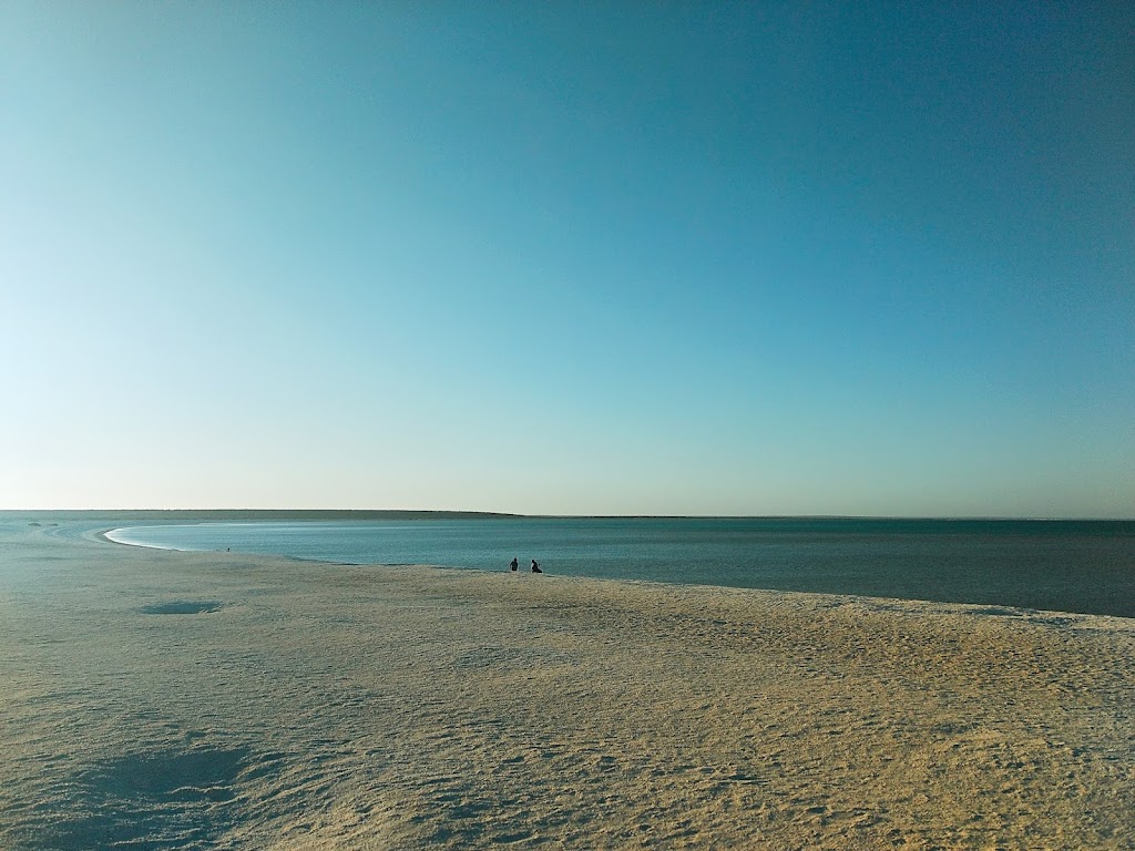 Feral Proof Fence | Shark Bay Rd, Francois Peron Natl Park WA 6537, Australia | Phone: (08) 9948 1590