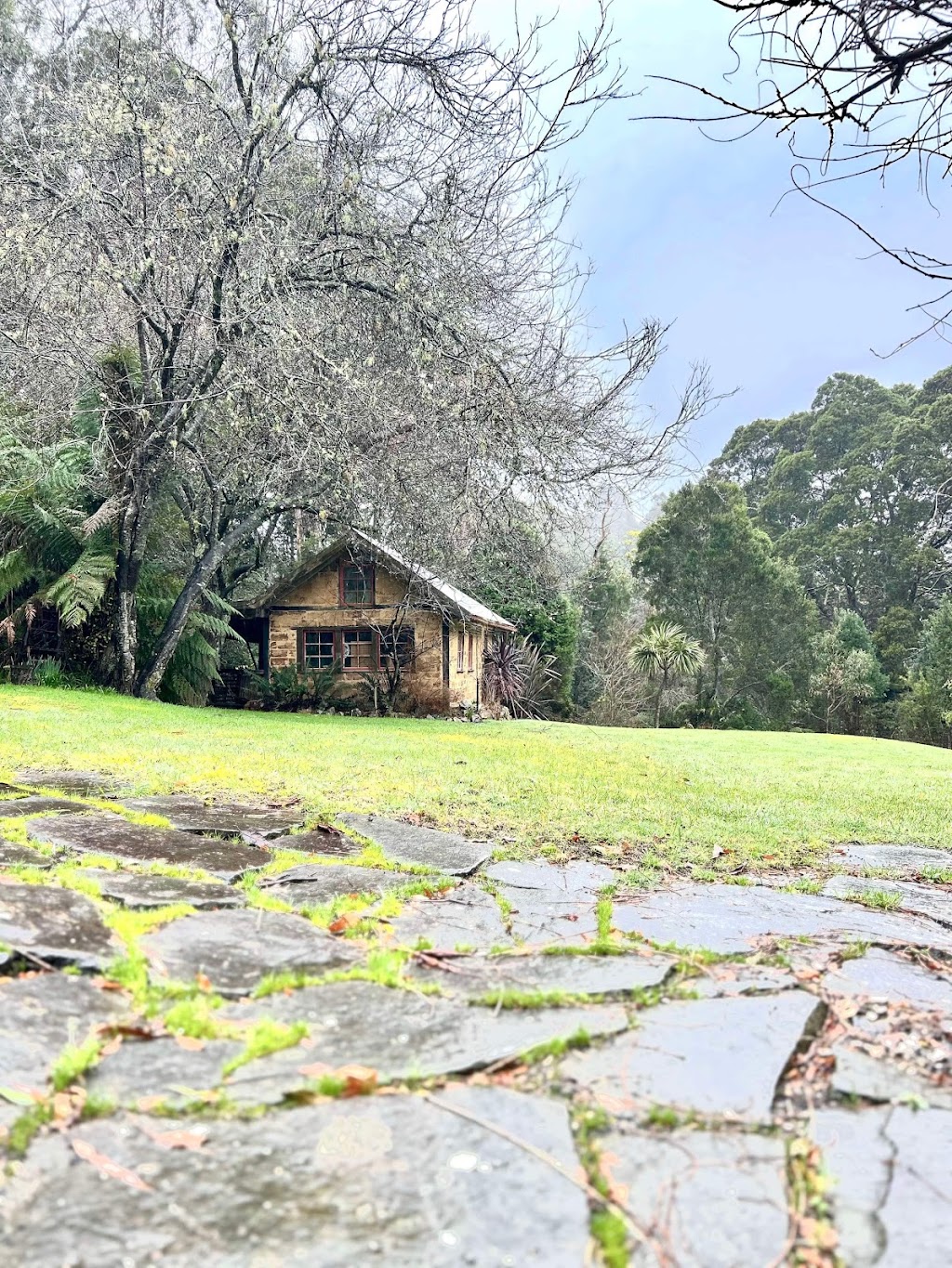The Whimsy | 20 Mount Paris Dam Rd, Weldborough TAS 7264, Australia | Phone: 0412 323 329
