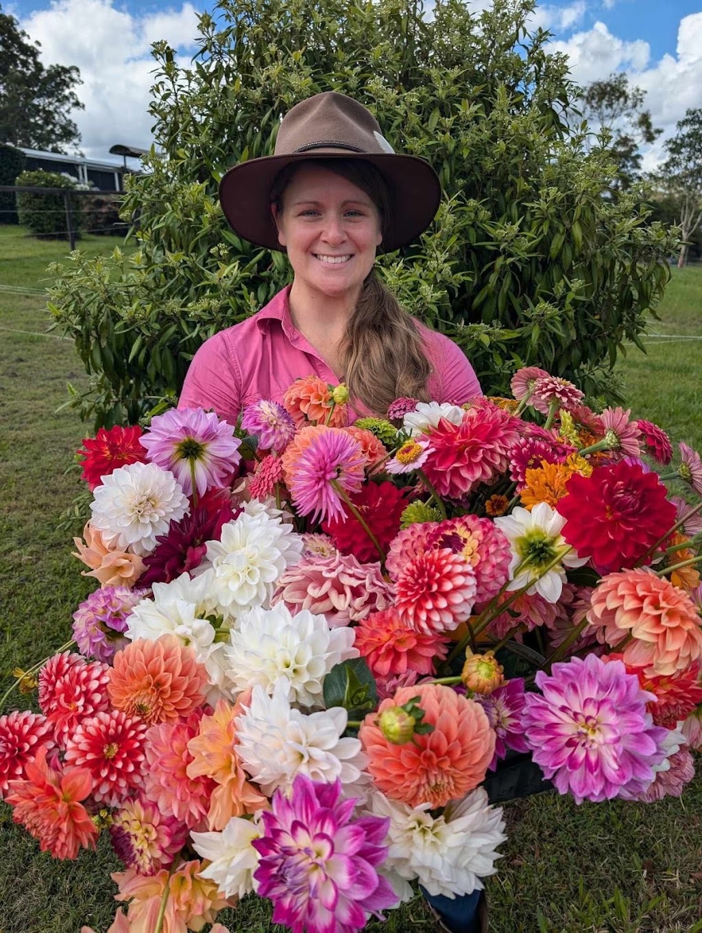 Blooms on View Flower Farm | 2299 Mount Mee Rd, Ocean View QLD 4521, Australia | Phone: 0434 828 825