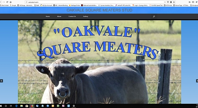 Oakvale Square Meaters Stud | food | 215 Kangaroo Yard Rd, Wondai QLD 4606, Australia | 0439690068 OR +61 439 690 068