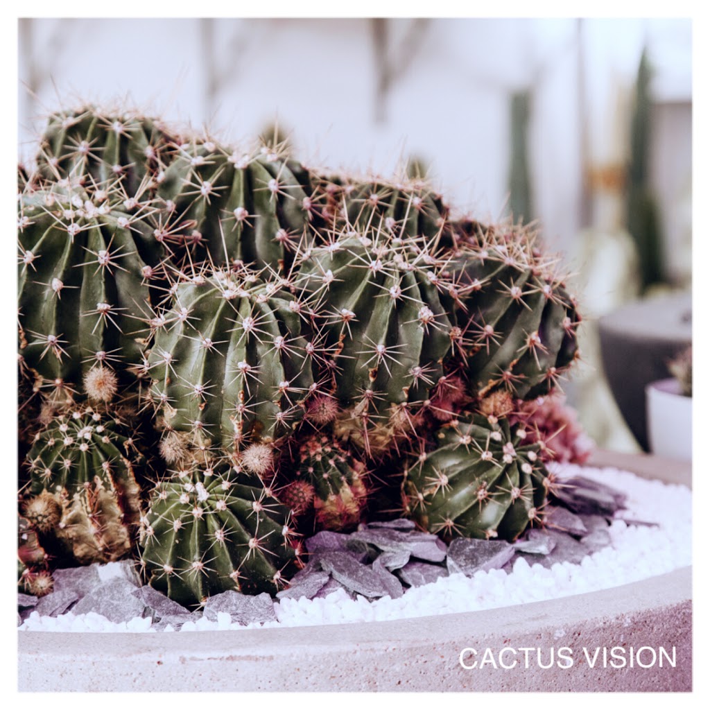 Cactus Vision | 1437 Botany Rd, Botany NSW 2019, Australia | Phone: 0401 745 405