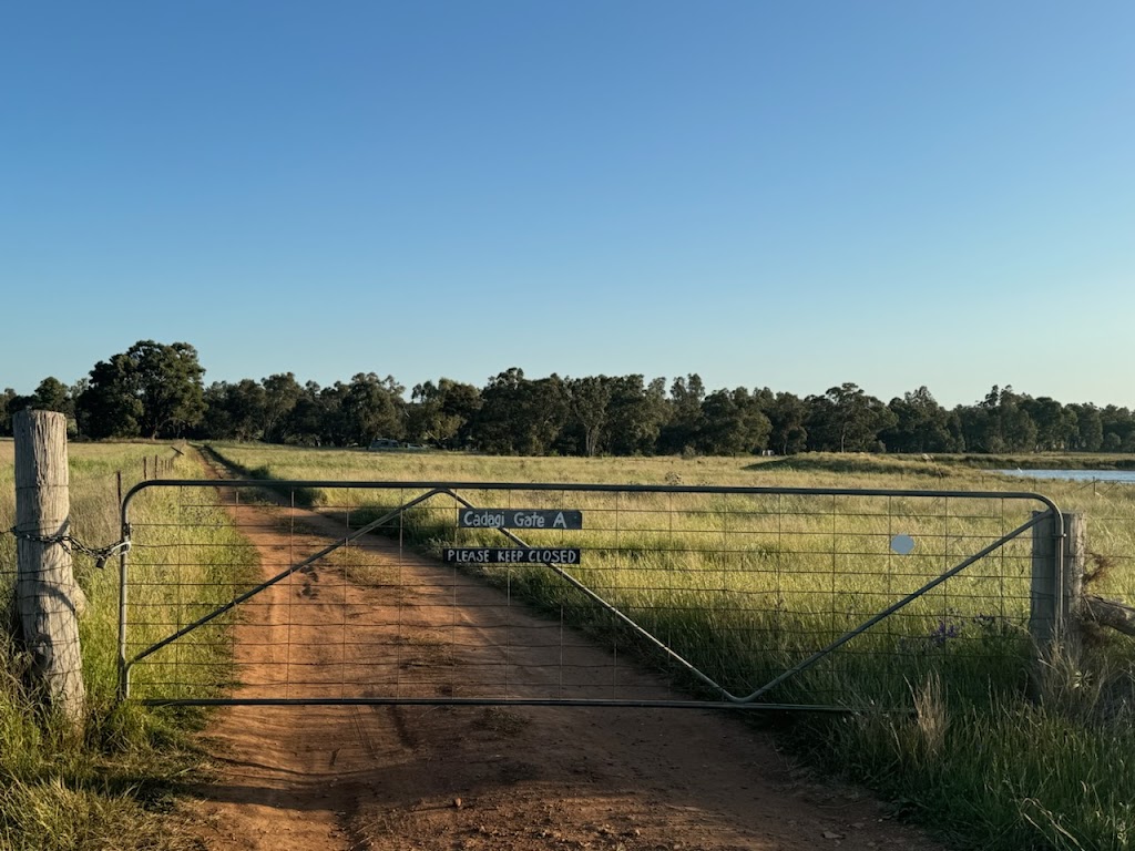 Cadagi Farm | 50R Old Mendooran Rd, Dubbo NSW 2830, Australia | Phone: 0481 542 069