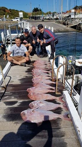 Pro Red Fishing Charters Melbourne | 1 Schnapper Point Dr, Mornington VIC 3931, Australia | Phone: 0421 442 775