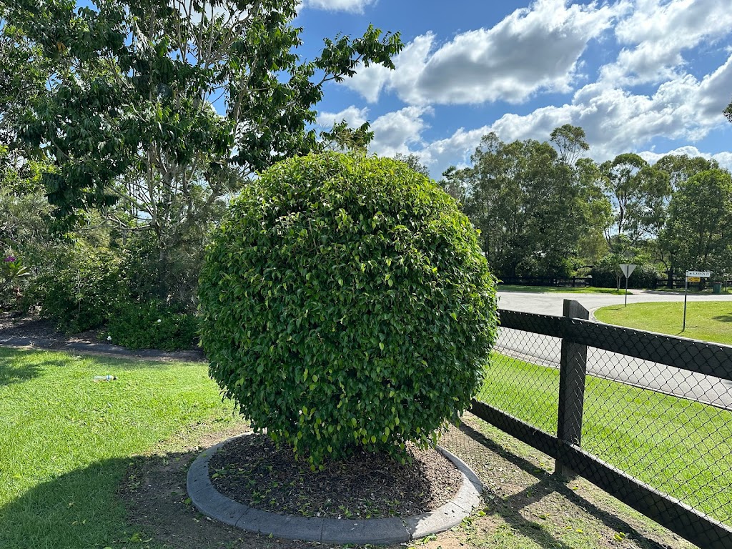 Mow Me Now | 13-15 Manikato Cl, Glenlogan QLD 4280, Australia | Phone: 0422 871 367