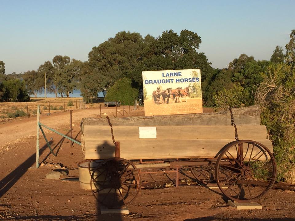 Larne Draught Horses - Working Draught Horse Museum | museum | 48 McInnes St, Lake Cargelligo NSW 2672, Australia