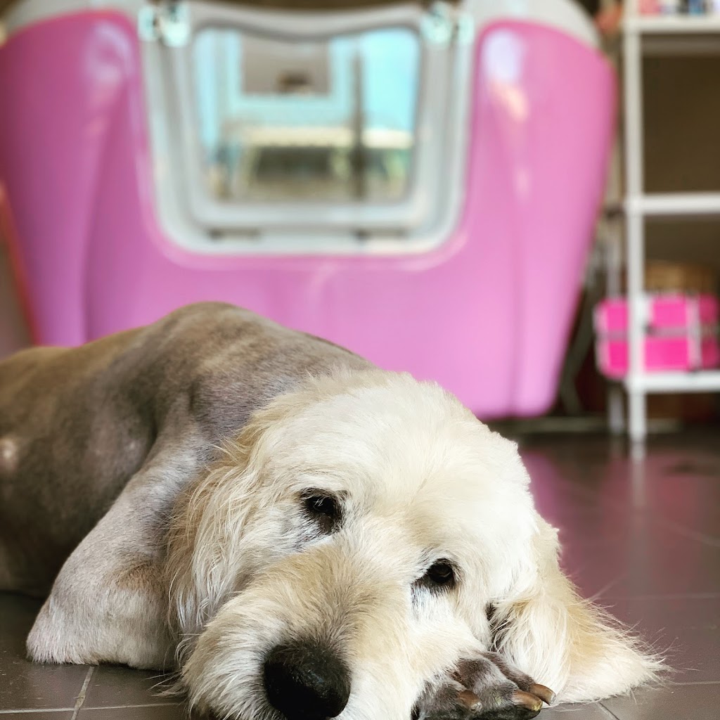 Classy K9s Boutique Spa | 29 Yeates St, Moranbah QLD 4744, Australia | Phone: 0431 253 757