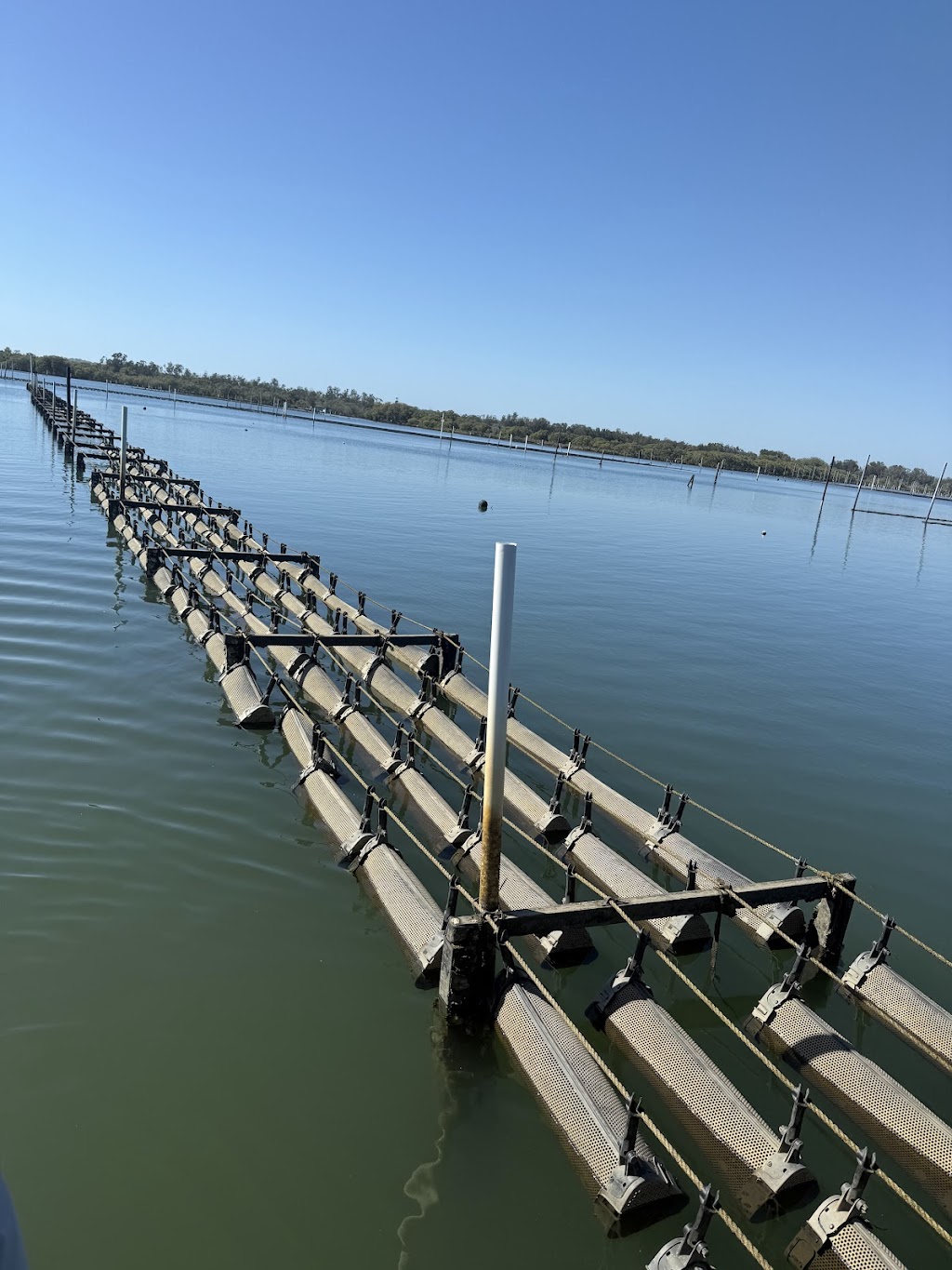 Sydneyrocksoysters | 532 Wine Country Dr, Pokolbin NSW 2320, Australia | Phone: 0484 525 997