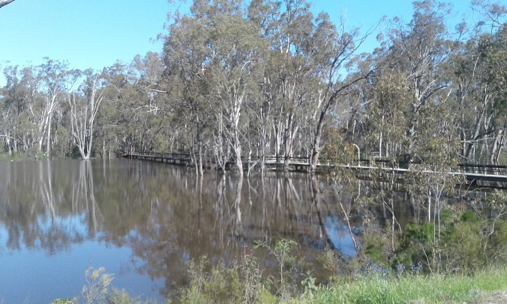 Horseshoe Lagoon | park | Cobb Hwy, Moama NSW 2731, Australia