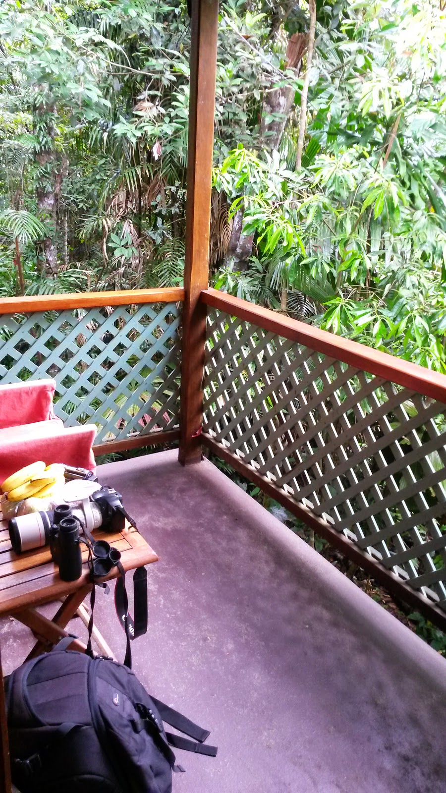 Cassowary House | Black Mountain Rd, Kuranda QLD 4881, Australia | Phone: (07) 4093 7318