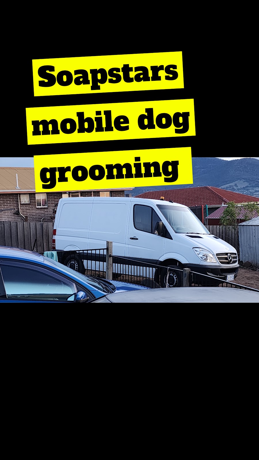 SOAPSTARS MOBILE GROOMING | 69 Lamprill Cir, Herdsmans Cove TAS 7030, Australia | Phone: 0438 155 529