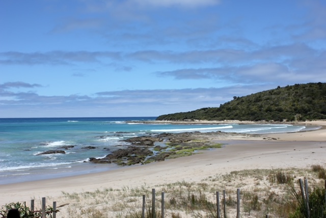 Allawah@Kennett | Ferny Grove, Kennett River VIC 3234, Australia | Phone: 0418 532 864