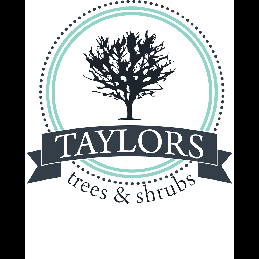 Taylors Trees & Shrubs | park | 38 Emily St, The Rock NSW 2655, Australia | 0427220311 OR +61 427 220 311