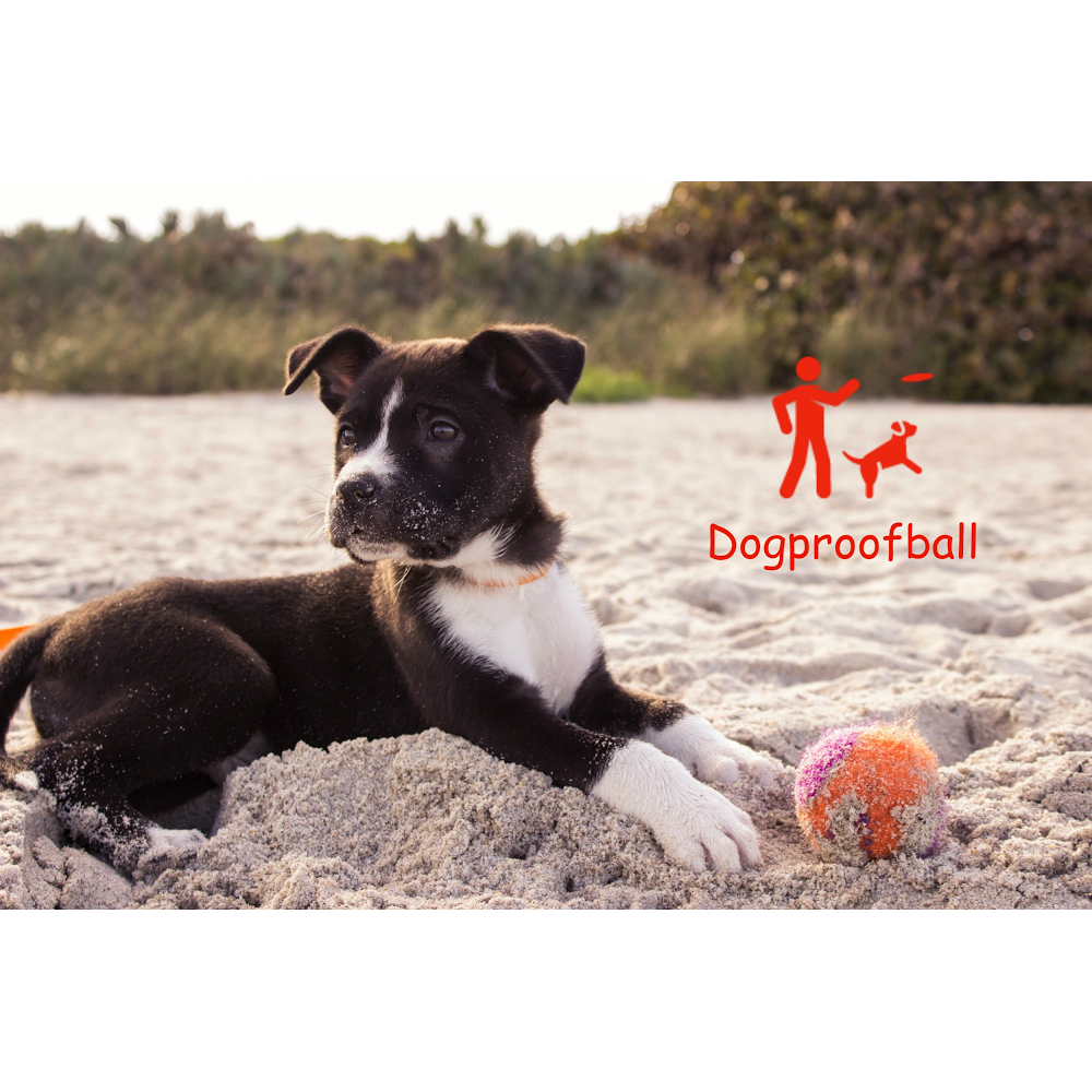 Dogproofball | pet store | 24 Coimadai Ct, Mornington VIC 3931, Australia | 0429707064 OR +61 429 707 064