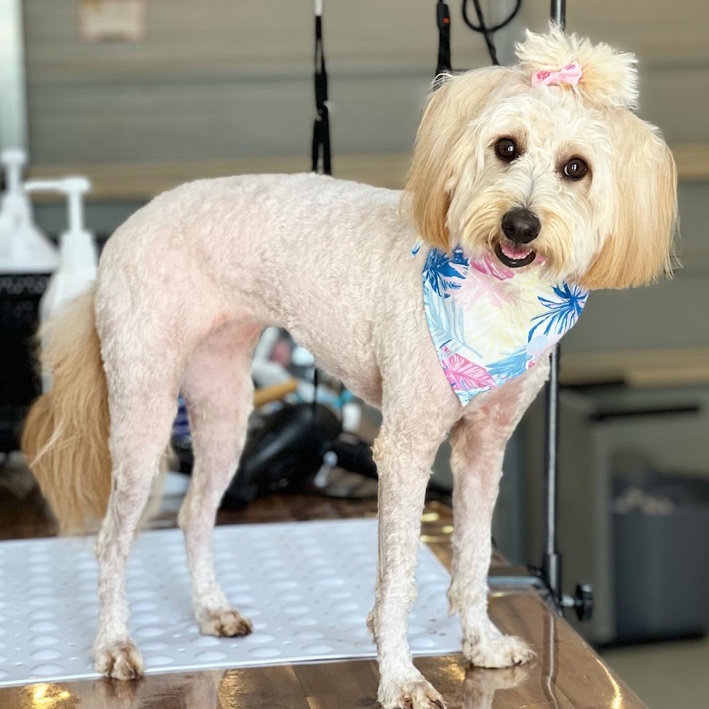 Barn House Co. | Lakes Dr, Laidley Heights QLD 4341, Australia | Phone: 0407 654 039