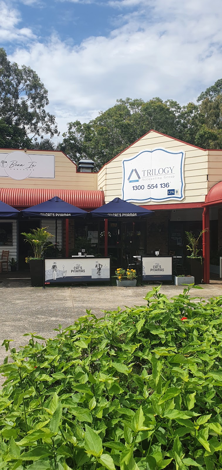 Trilogy Accounting Group | accounting | 40 Christie St, Canungra QLD 4275, Australia | 1300554136 OR +61 1300 554 136