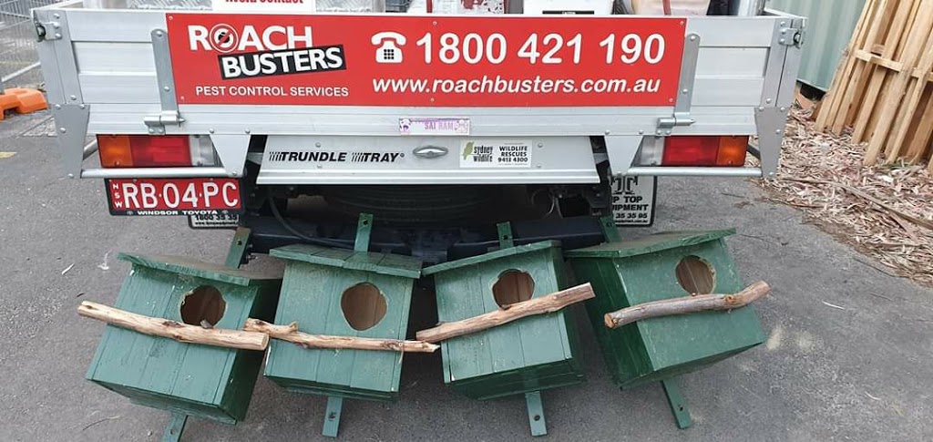 Roach Busters Pest Control Services | 160 Best Rd, Seven Hills NSW 2147, Australia | Phone: 1800 421 190