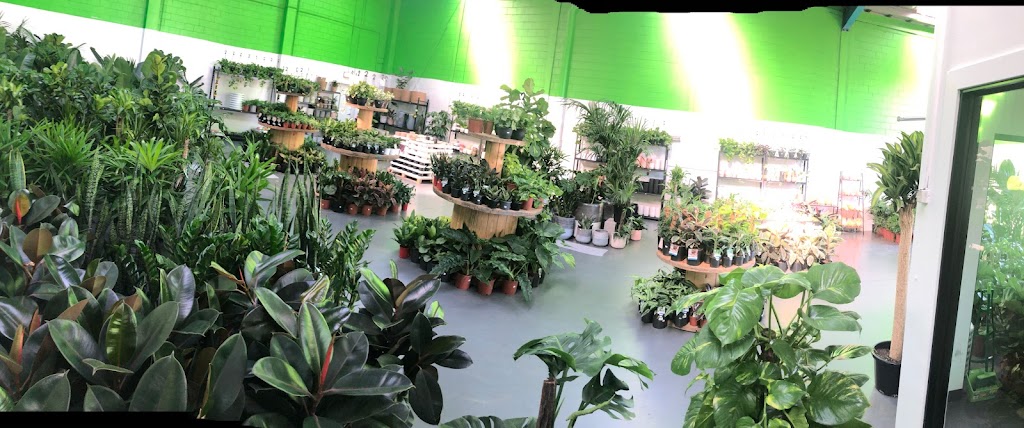 Green dreams20 indoor plants and pots |  | 14 Lonsdale St, Dandenong VIC 3175, Australia | 0421695249 OR +61 421 695 249