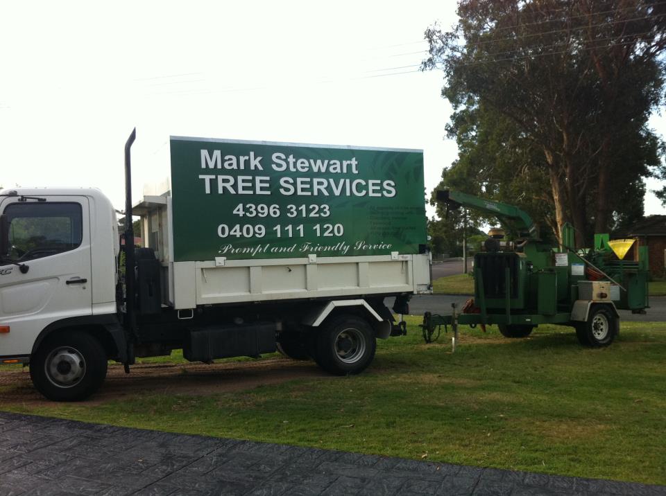 Mark Stewart Tree Services | 125 Woods Rd, Jilliby NSW 2259, Australia | Phone: 0409 111 120