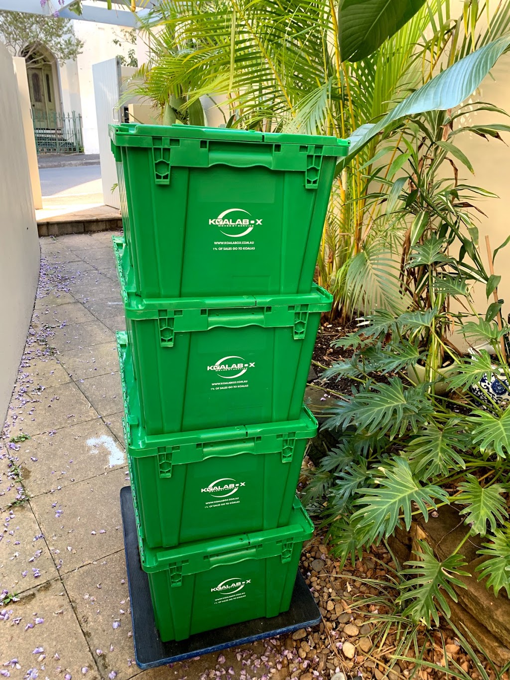 Koala Box plastic moving boxes | 3/116 Percival Rd, Stanmore NSW 2048, Australia | Phone: 0468 548 164