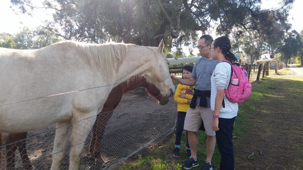 Horse Riding Sydney | travel agency | 745 Barkers Lodge Rd, Picton NSW 2571, Australia | 0246809243 OR +61 2 4680 9243