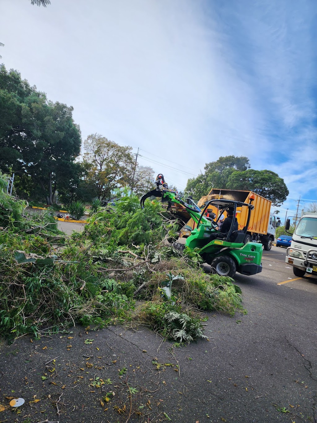 Magic Tree Services | 30 Heath St, Granville NSW 2142, Australia | Phone: (02) 5661 8855