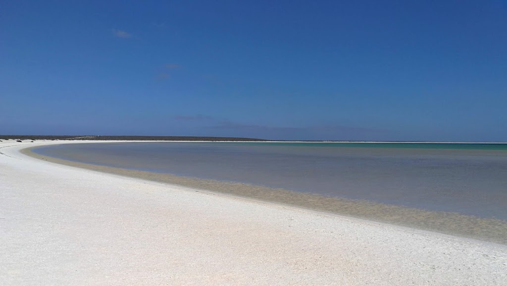 Feral Proof Fence | Shark Bay Rd, Francois Peron Natl Park WA 6537, Australia | Phone: (08) 9948 1590