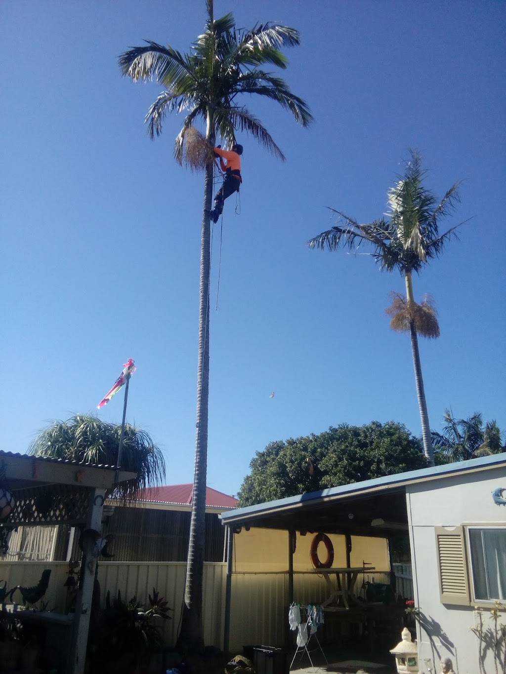 JD Quality Lawn & Property Maintenance | 1a Plimsoll Cl, Salamander Bay NSW 2317, Australia | Phone: 0416 387 304