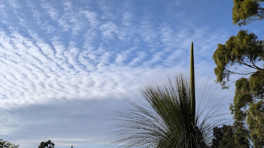 Paradise Point | Toorloo Arm VIC 3909, Australia | Phone: 0438 941 954