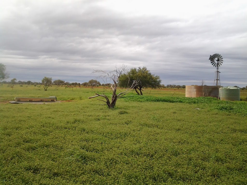 4 Corners windmill | Murchison WA 6630, Australia | Phone: 0467 709 389