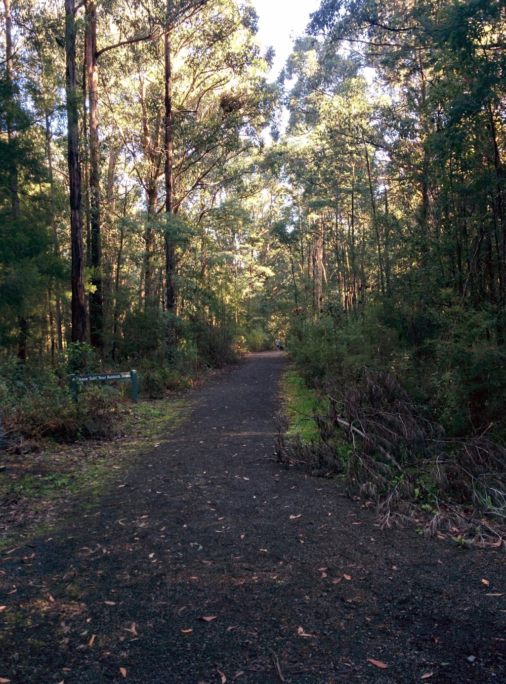 Nangara Reserve | park | Nangara Rd, Jindivick VIC 3818, Australia