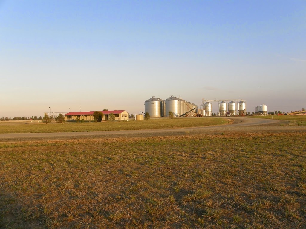 Jerilderie Grain Storage & Handling | storage | 6030 Newell Hwy, Jerilderie NSW 2716, Australia | 0358860344 OR +61 3 5886 0344