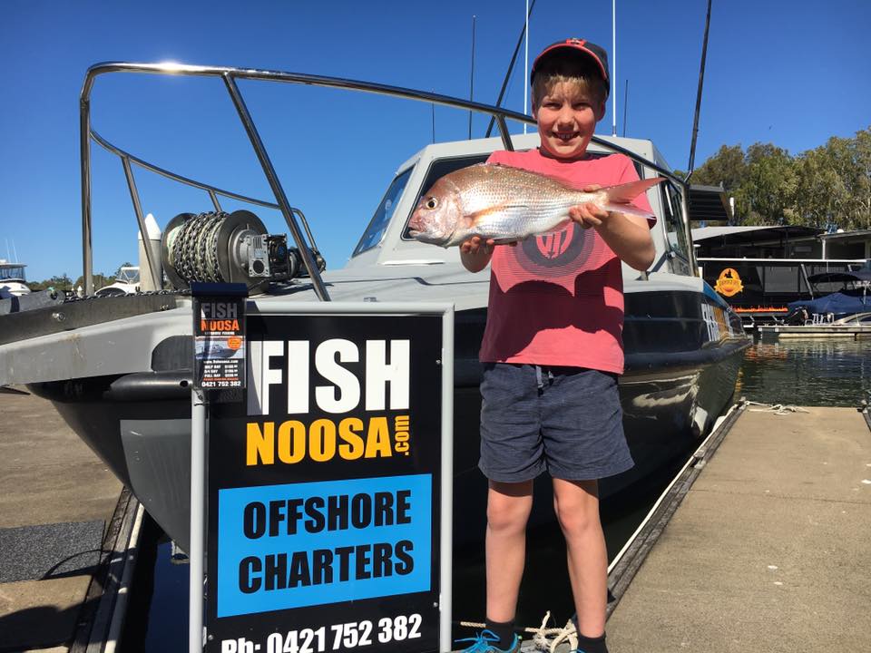 Fish Noosa | travel agency | Noosa Harbour, 2 Parkyn Court, Tewantin QLD 4565, Australia | 0421752382 OR +61 421 752 382