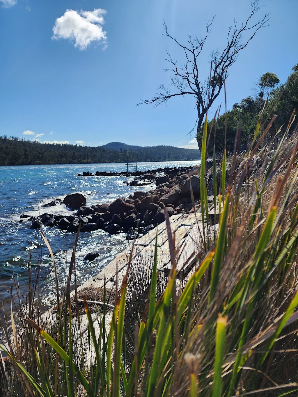 138 On The Bay | 138 Sommers Bay Rd, Murdunna TAS 7178, Australia | Phone: 0413 364 906