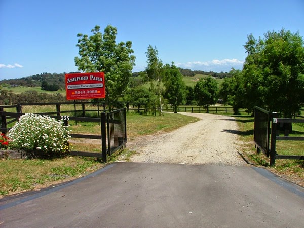 Ashford Park Horse Agistment | 225 Split Rock Rd, Beaconsfield Upper VIC 3808, Australia | Phone: 0412 394 777