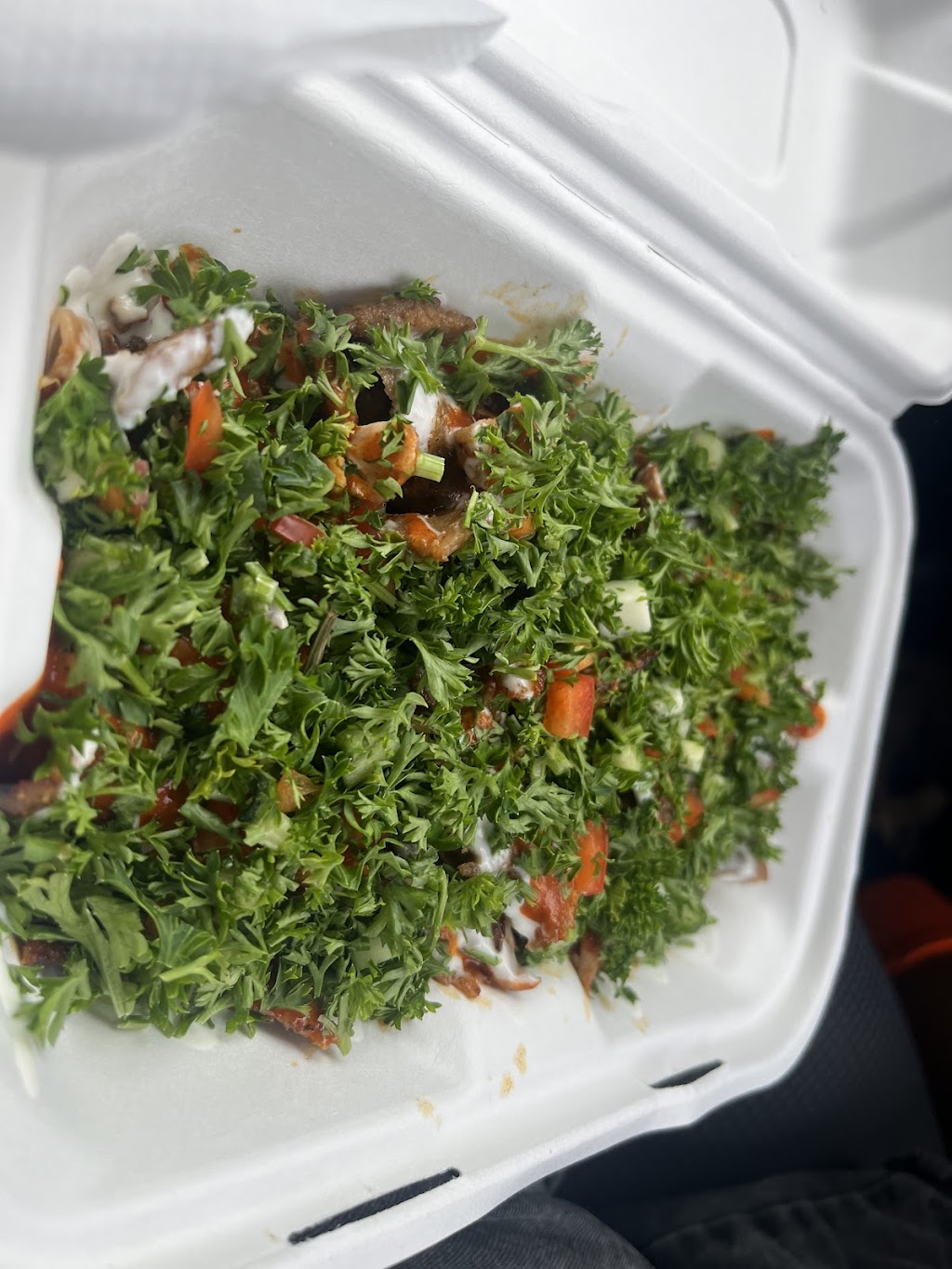 Sham Kebab And Grill | 2-4 University Dr, Meadowbrook QLD 4131, Australia | Phone: (07) 3806 7108