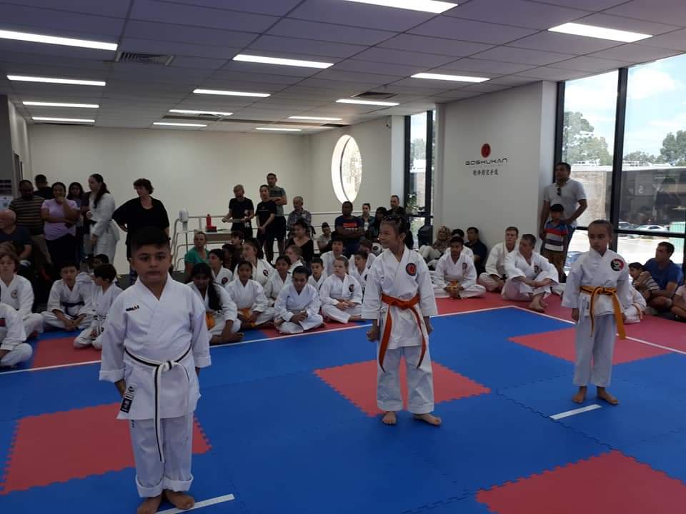 Karate Academy of Japan Gojuryu Picton | 436 Argyle St, Picton NSW 2571, Australia | Phone: 0430 434 152