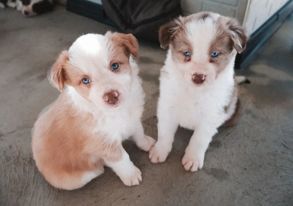 Mona Cottage | 14-18 Mona Rd, Woongarrah NSW 2259, Australia | Phone: 0436 360 834