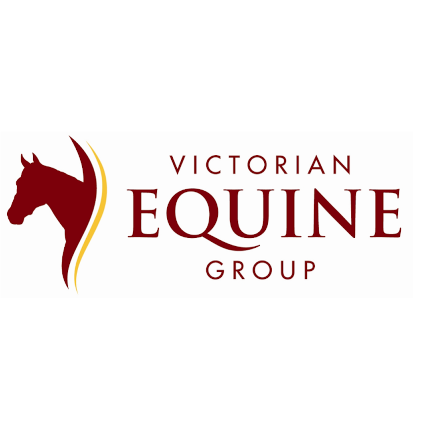 Bendigo Equine Hospital | veterinary care | 38 Heinz St, White Hills VIC 3550, Australia | 0354485331 OR +61 3 5448 5331