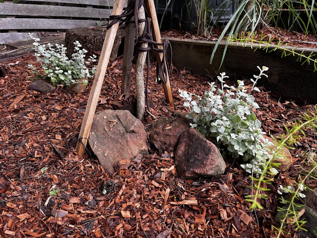 Nursery Warehouse | 24 Burns Rd, Ourimbah NSW 2258, Australia | Phone: (02) 4314 9018