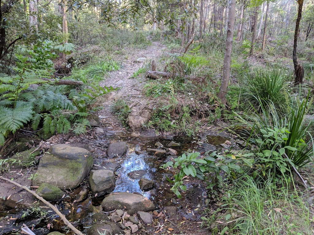 Linksley Reserve | Glenhaven NSW 2156, Australia