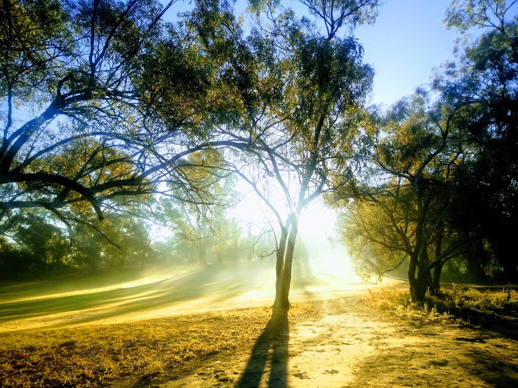 Riverside Golf Club |  | Park Ln, Nichols Point VIC 3501, Australia | 0350234255 OR +61 3 5023 4255